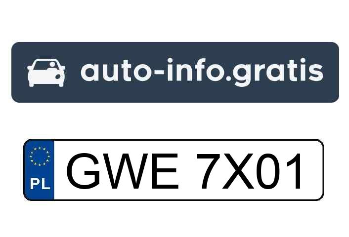 Mistrz parkowania w pojeździe o numerach GWE7X01