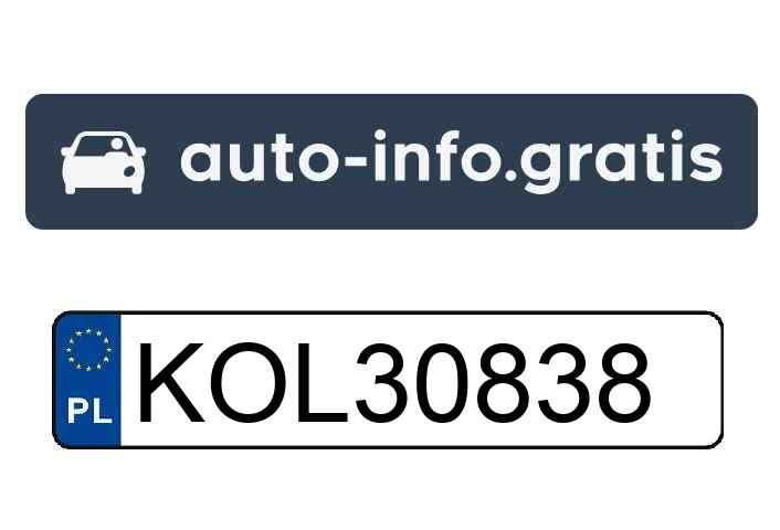 Mistrz parkowania w pojeździe o numerach KOL30838