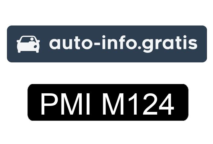 Skradziono pojazd o numerach rejestracyjnych PMIM124