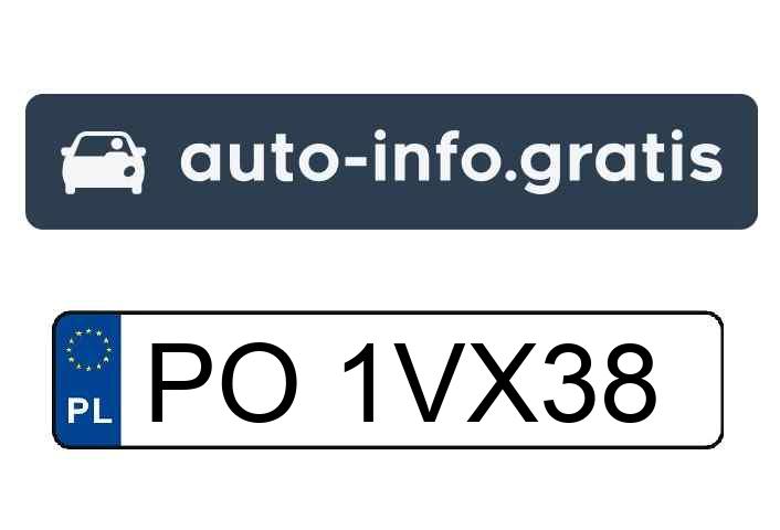 Mistrz parkowania w pojeździe o numerach PO1VX38