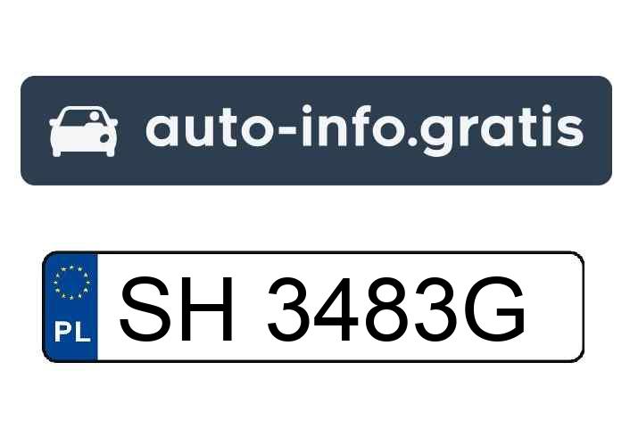 Mistrz parkowania w pojeździe o numerach SH3483G