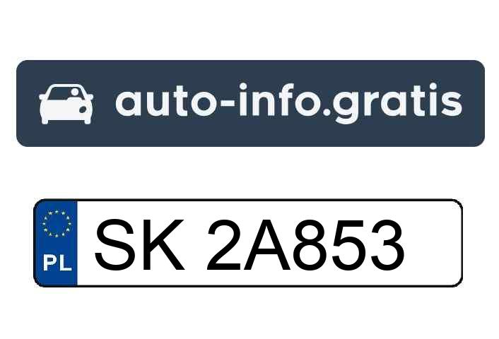 Mistrz parkowania w pojeździe o numerach SK2A853