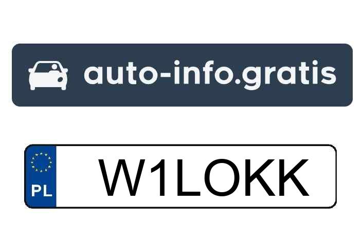 Mistrz parkowania w pojeździe o numerach W1LOKK