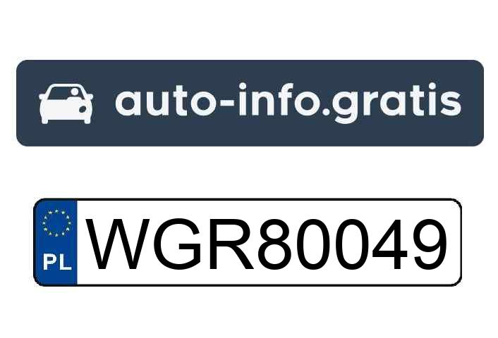 Mistrz parkowania w pojeździe o numerach WGR80049