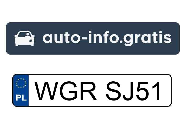 Mistrz parkowania w pojeździe o numerach WGRSJ51