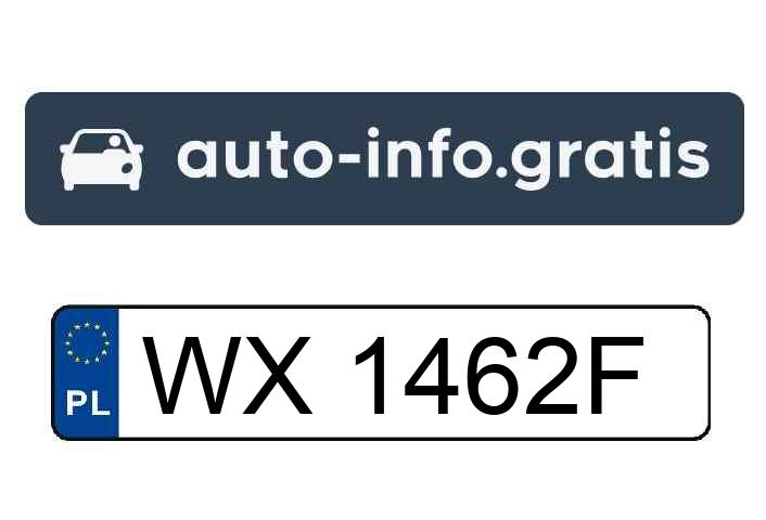 Mistrz parkowania w pojeździe o numerach WX1462F