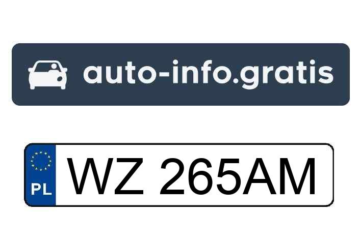 Mistrz parkowania w pojeździe o numerach WZ265AM