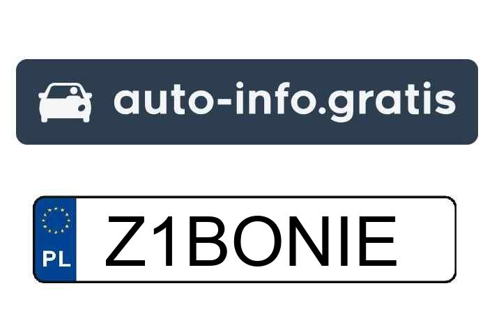 Mistrz parkowania w pojeździe o numerach Z1BONIE