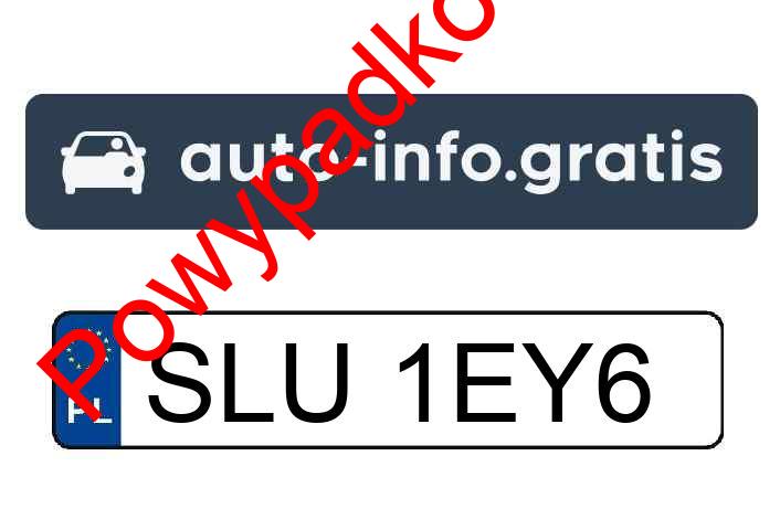 Pojazd o numerach SLU1EY6 uczestniczył w wypadku