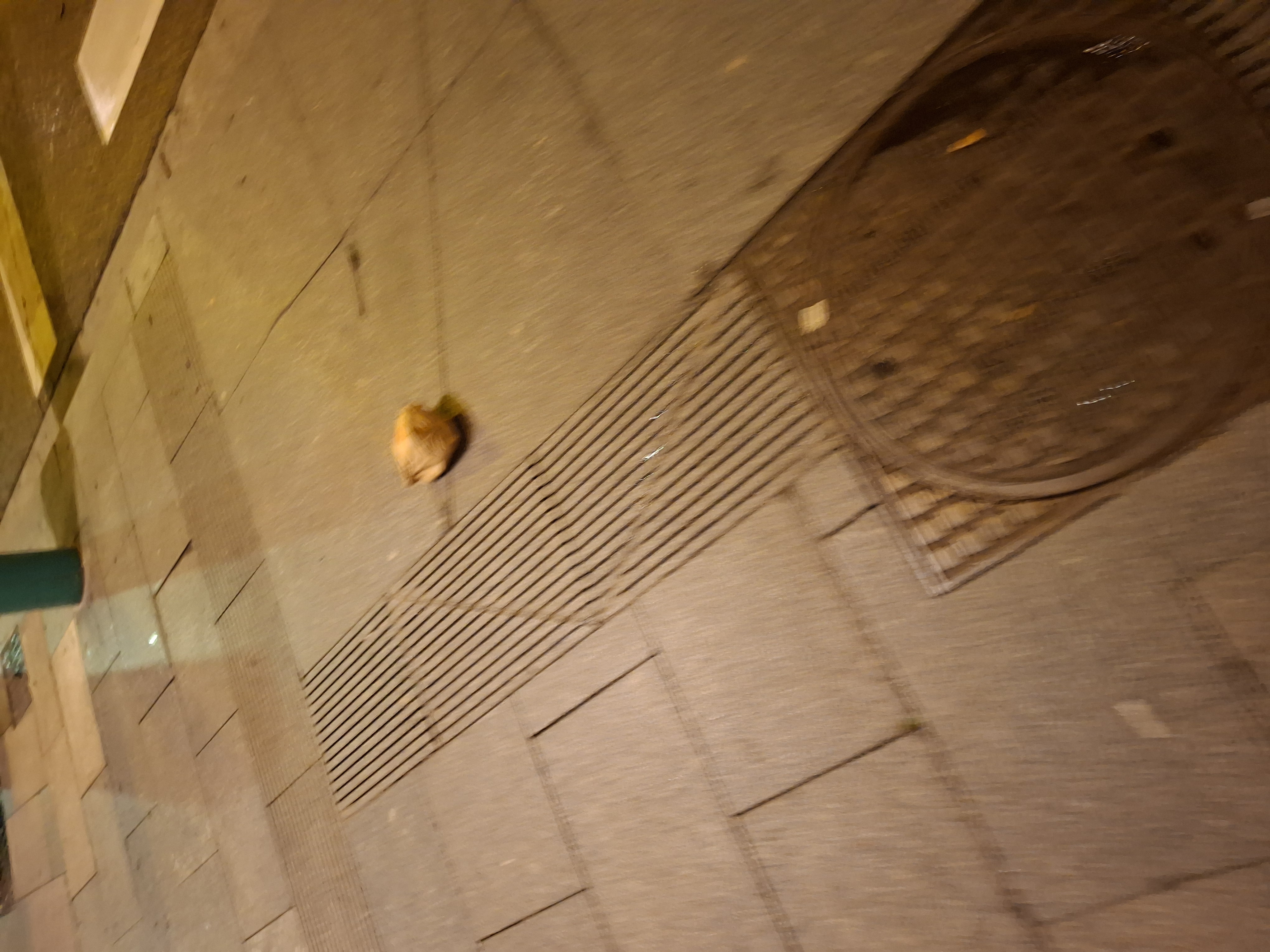 Pirat drogowy w pojeździe o numerach rejestracyjnych 5331JLG