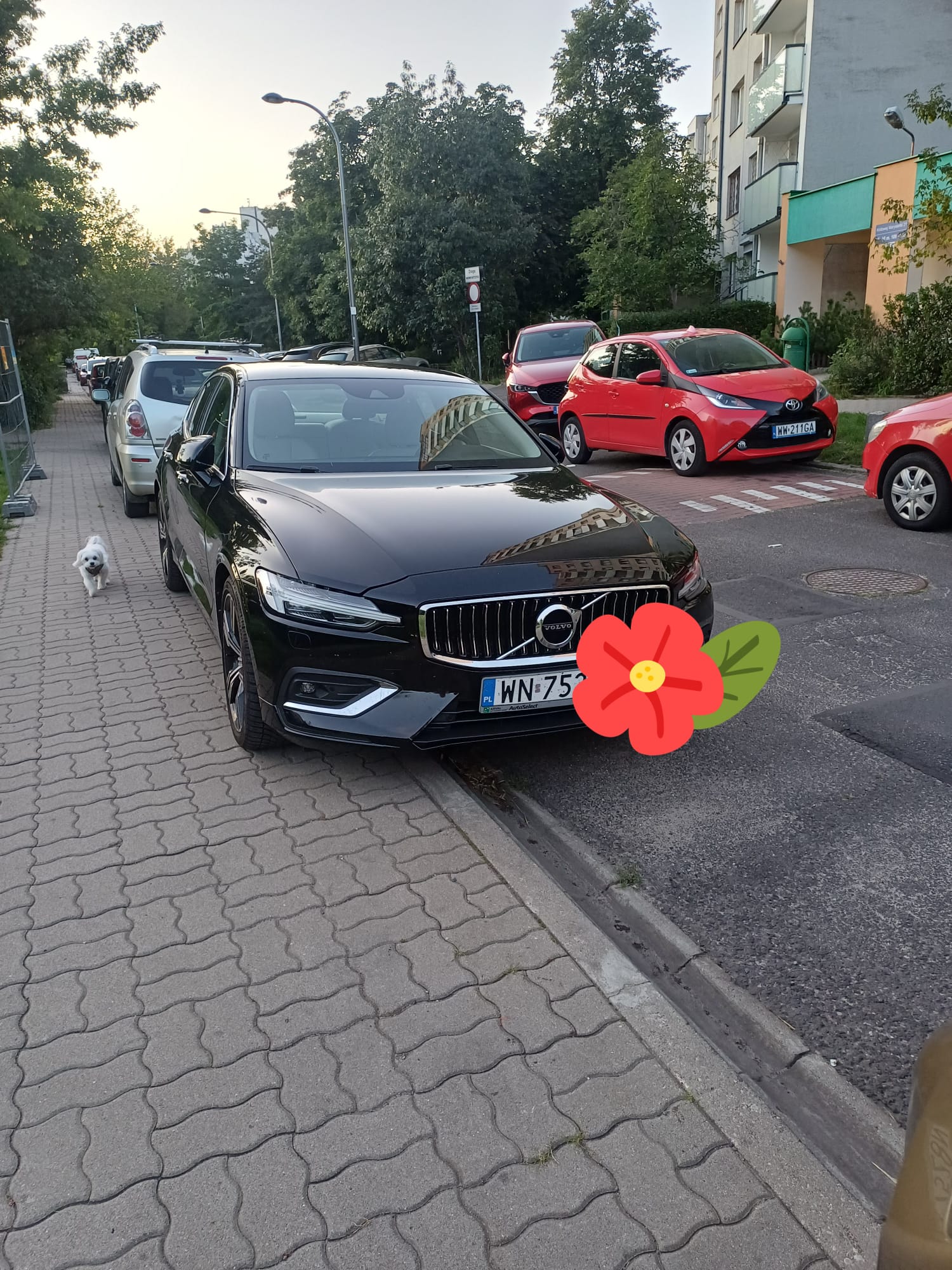 Skąd pochodzi samochód z taką rejestracją ?