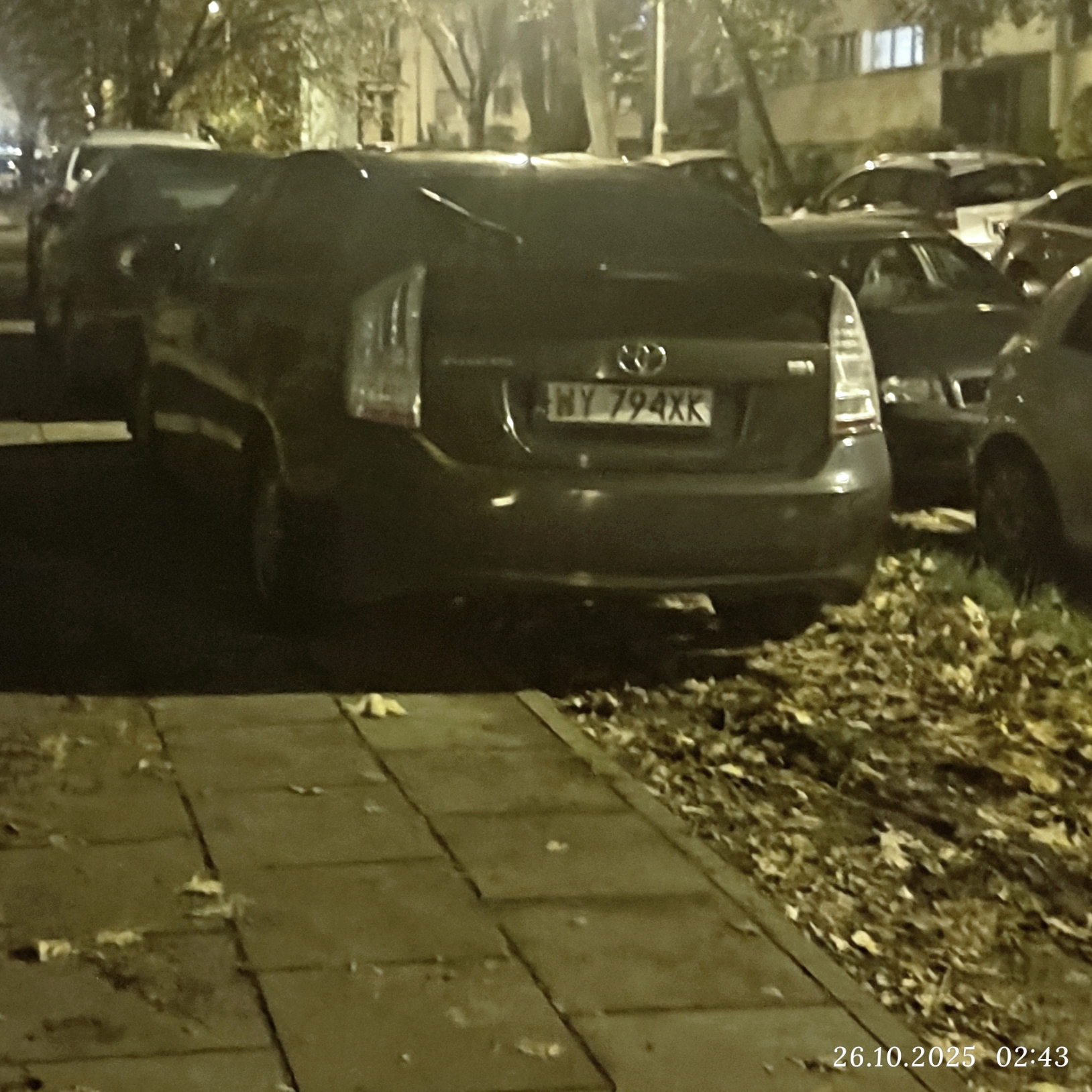 Mistrz parkowania w pojeździe o numerach WY794XK