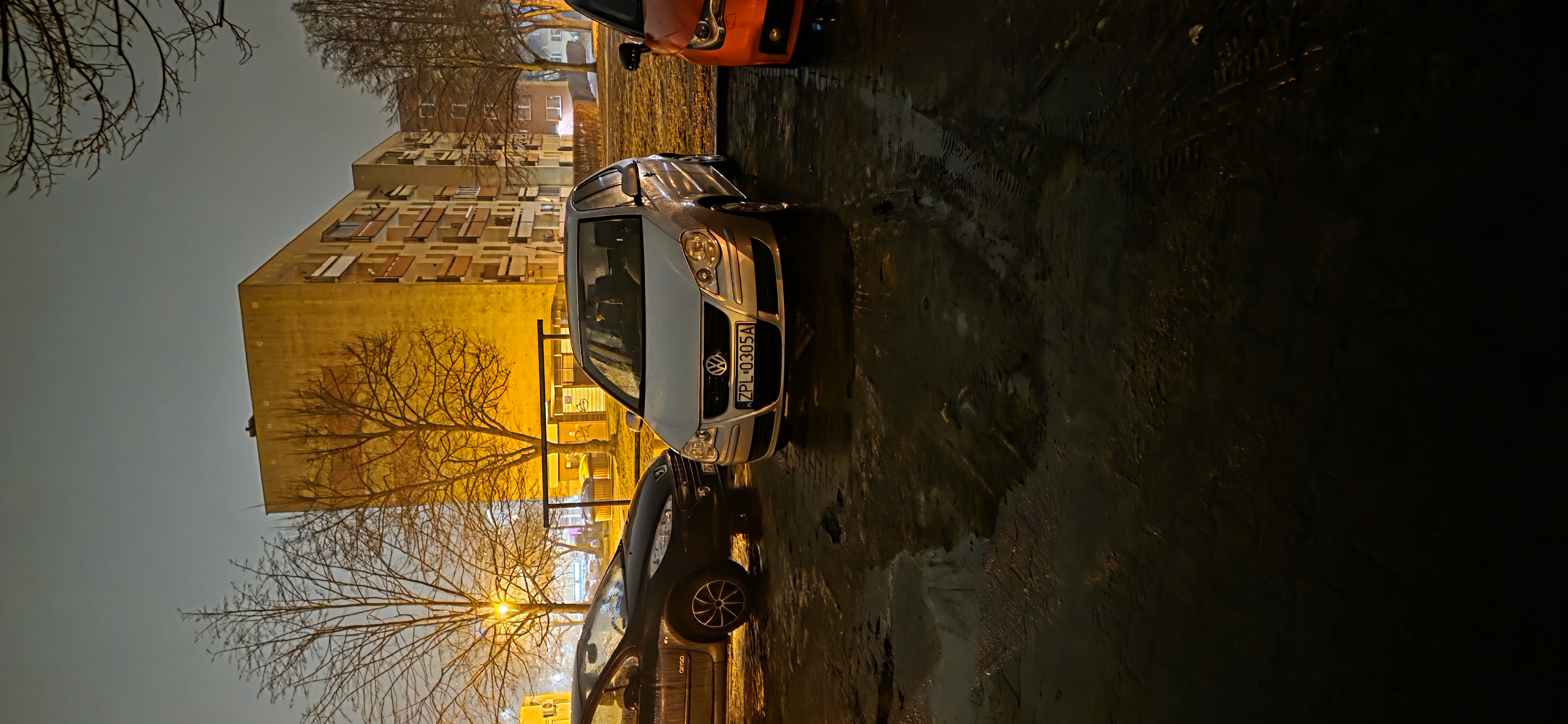 Mistrz parkowania w pojeździe o numerach ZPL0305A