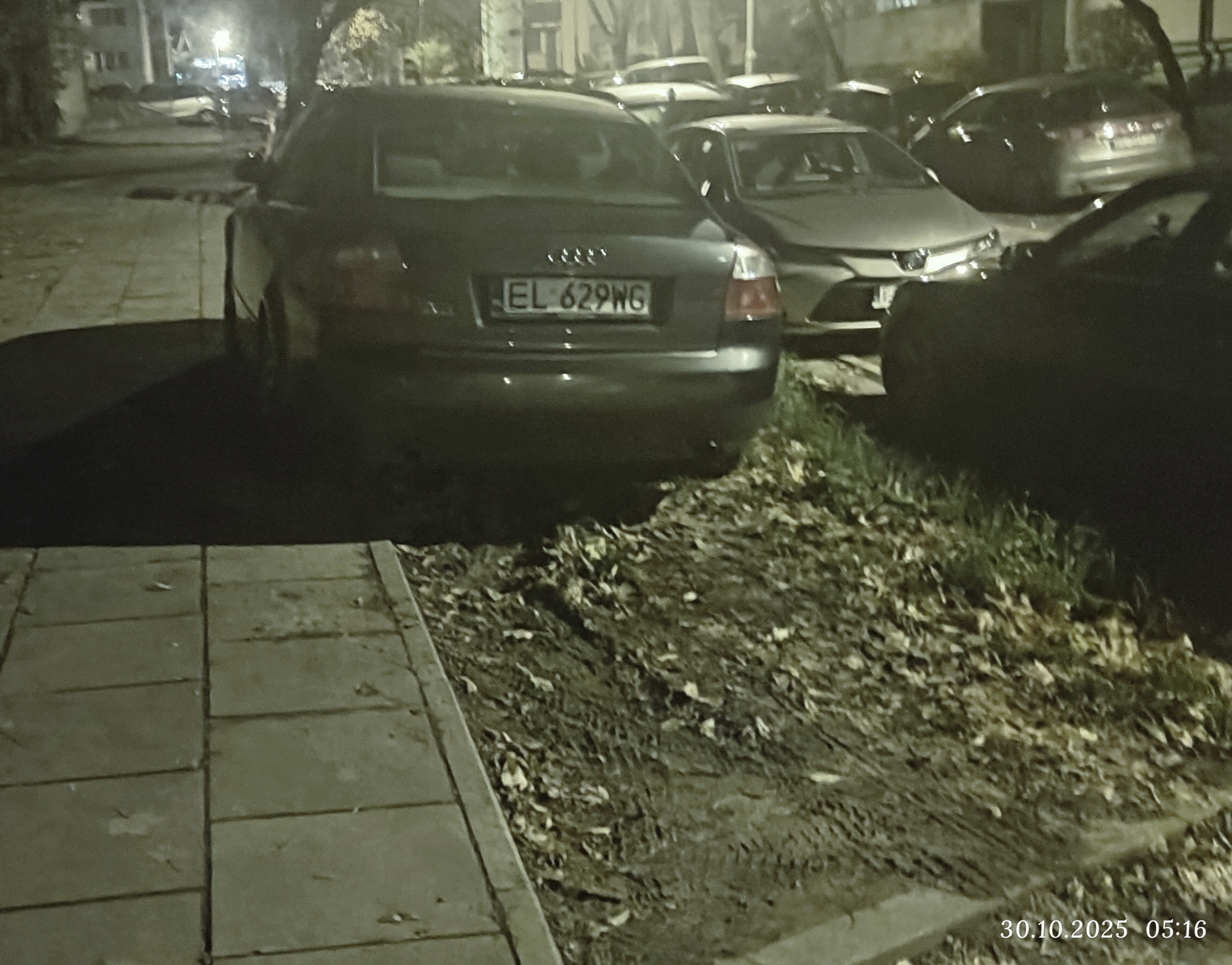 Mistrz parkowania w pojeździe o numerach EL629WG