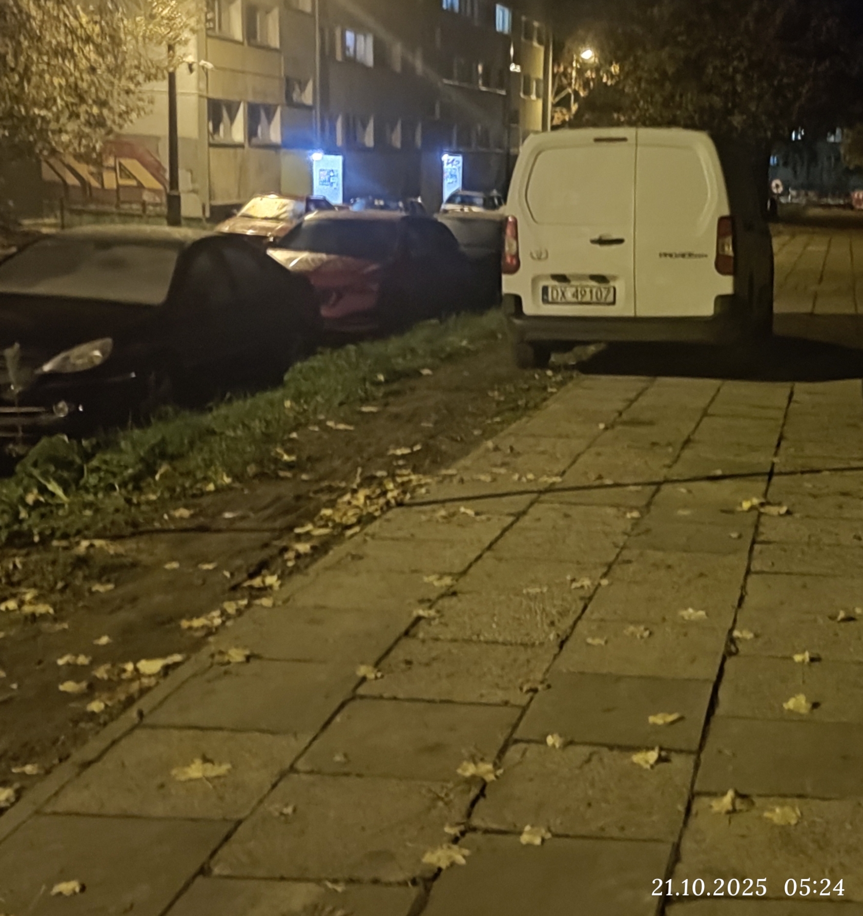 Mistrz parkowania w pojeździe o numerach DX49107