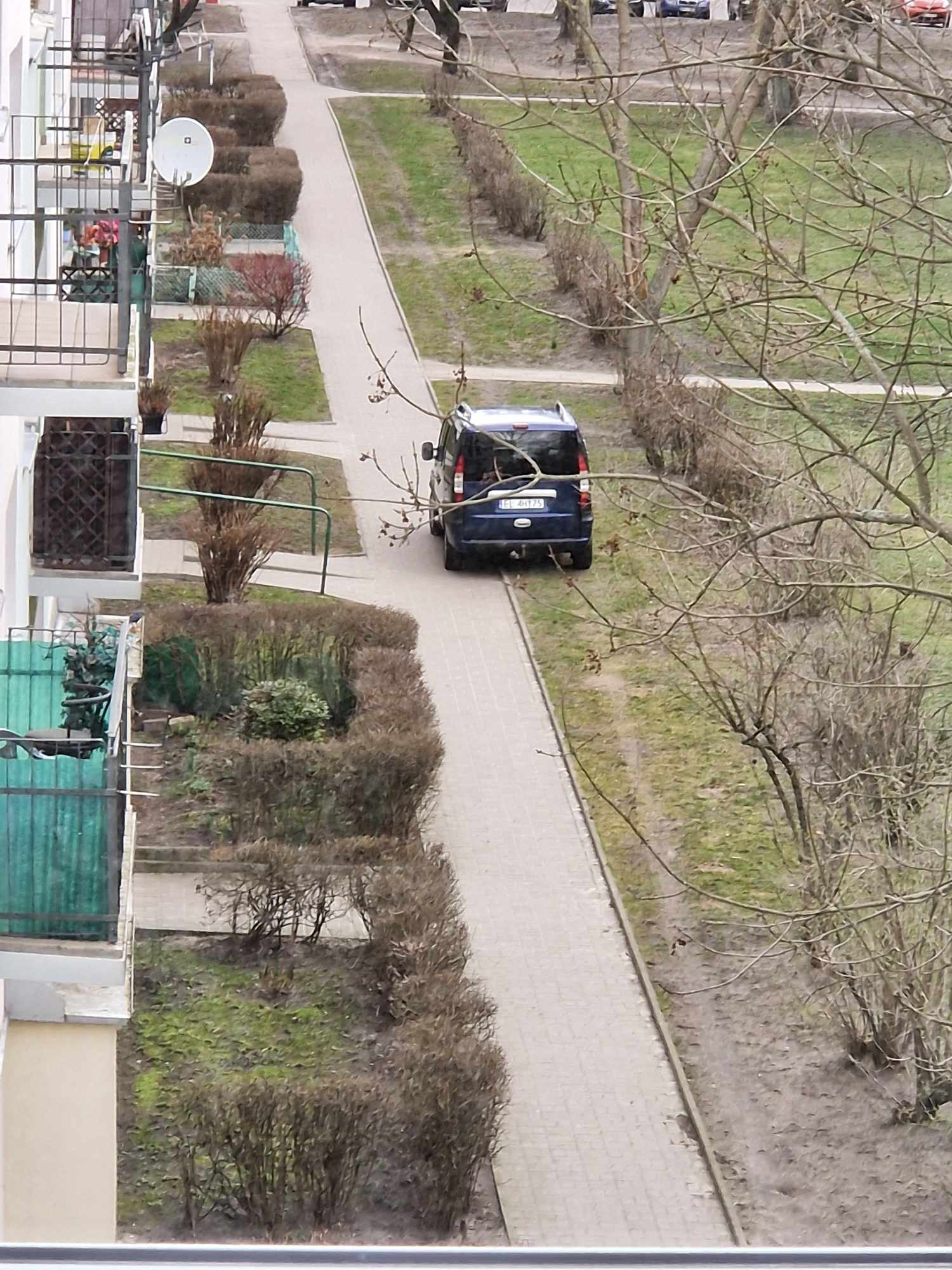 Mistrz parkowania w pojeździe o numerach EL4HY75