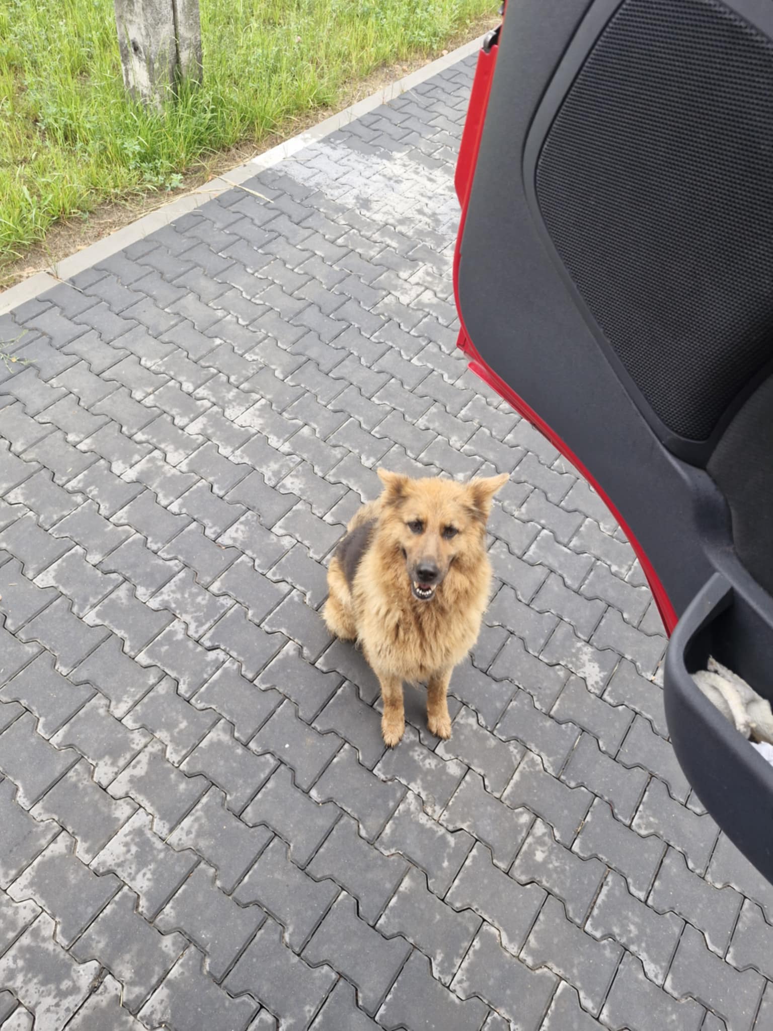 Pirat drogowy w pojeździe o numerach rejestracyjnych WWL6596K