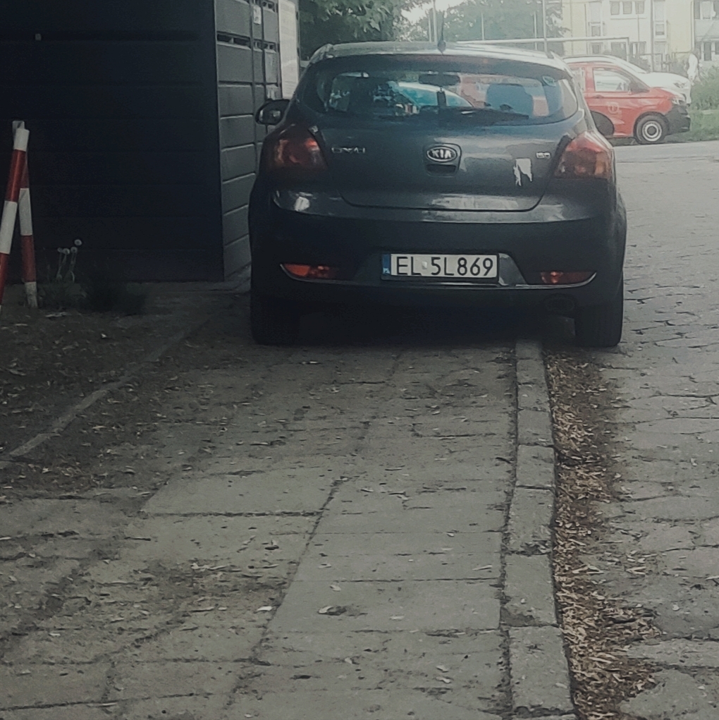 Blokowanie chodnika codzień przy śmietniku. Brak 1.5m. zdj.2
