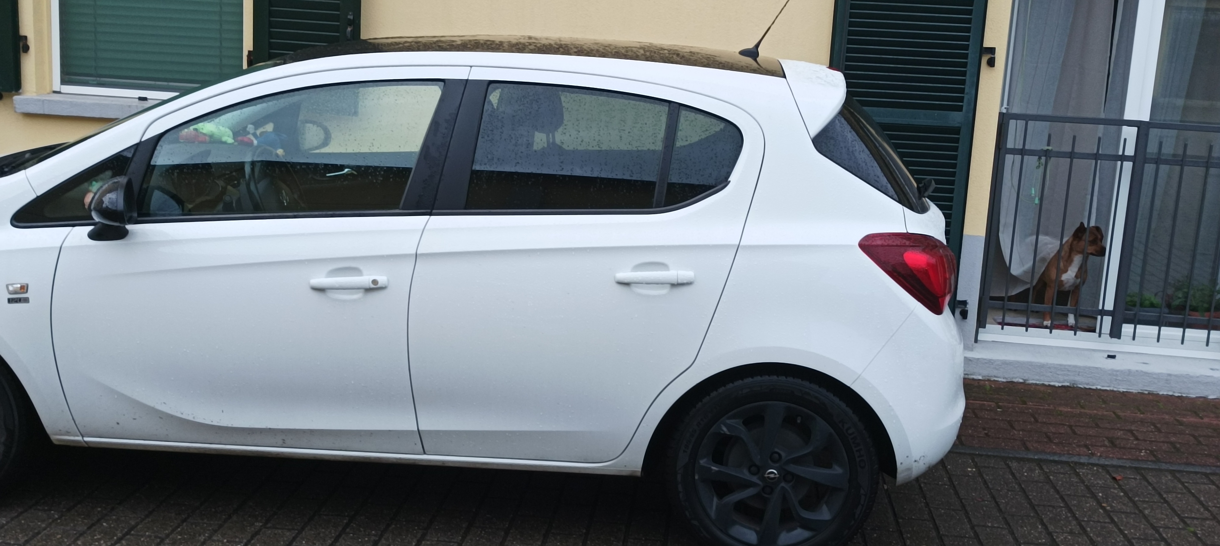 Mistrz parkowania w pojeździe o numerach FV207VP