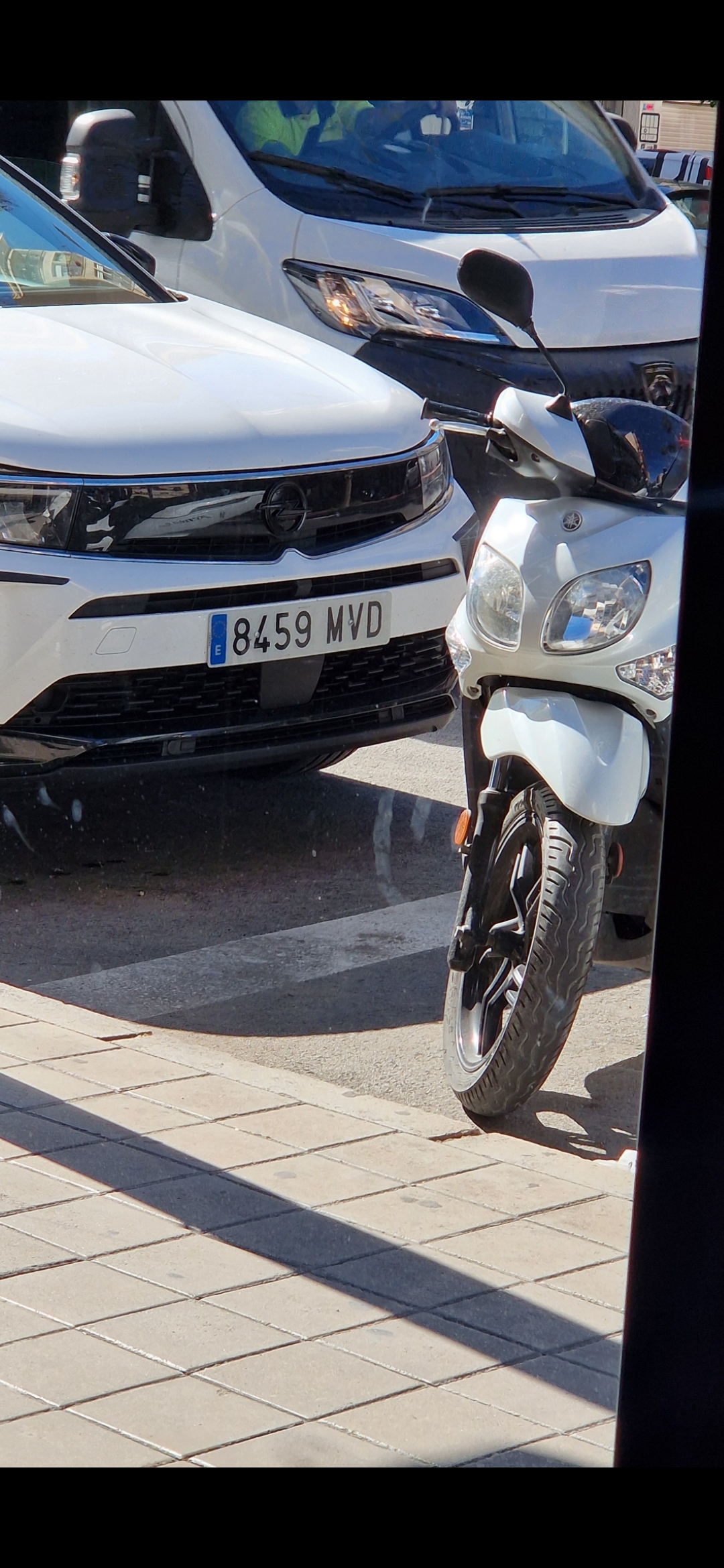 Mistrz parkowania w pojeździe o numerach 8459MVD