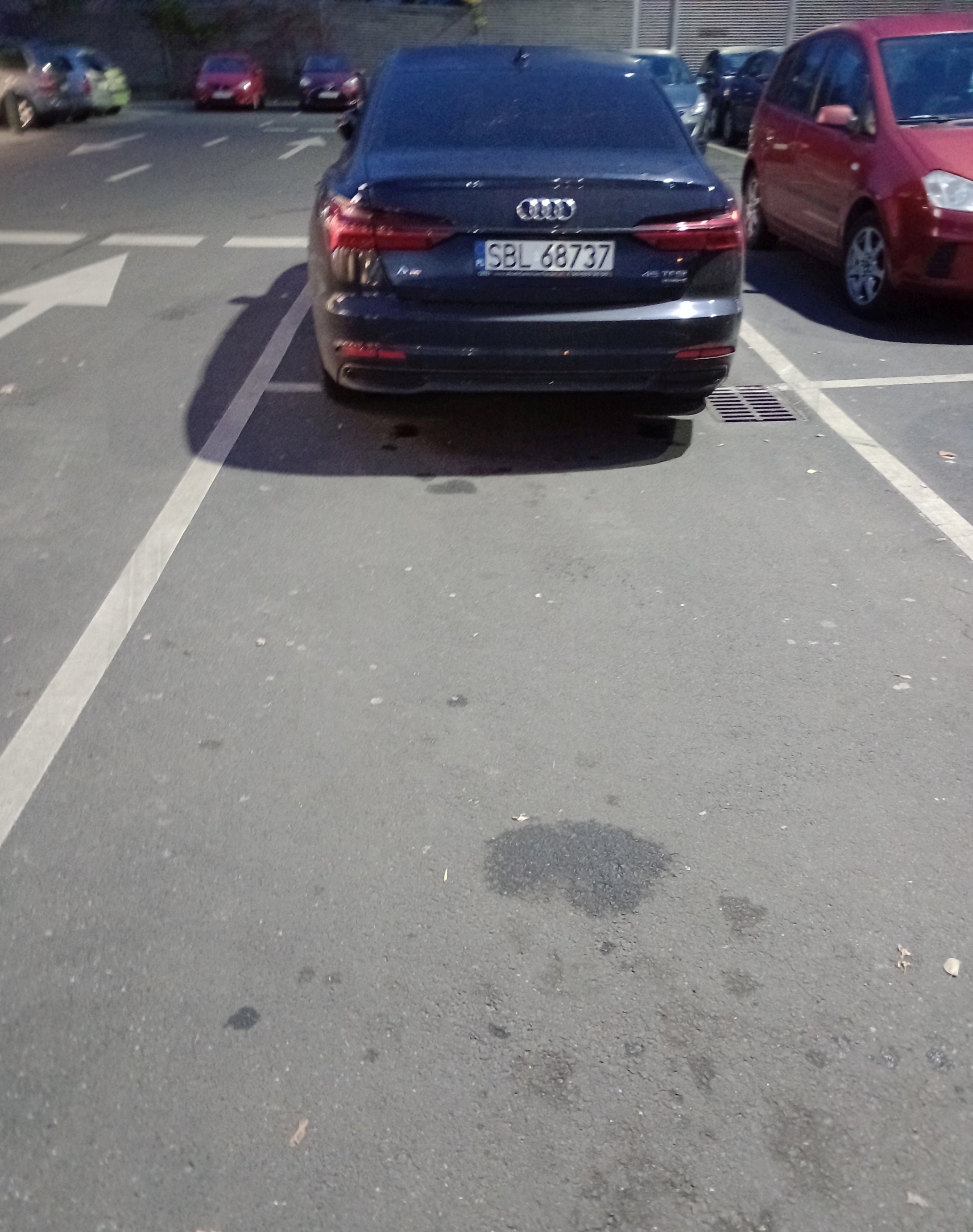 Ślepy samolub co nie umie parkować