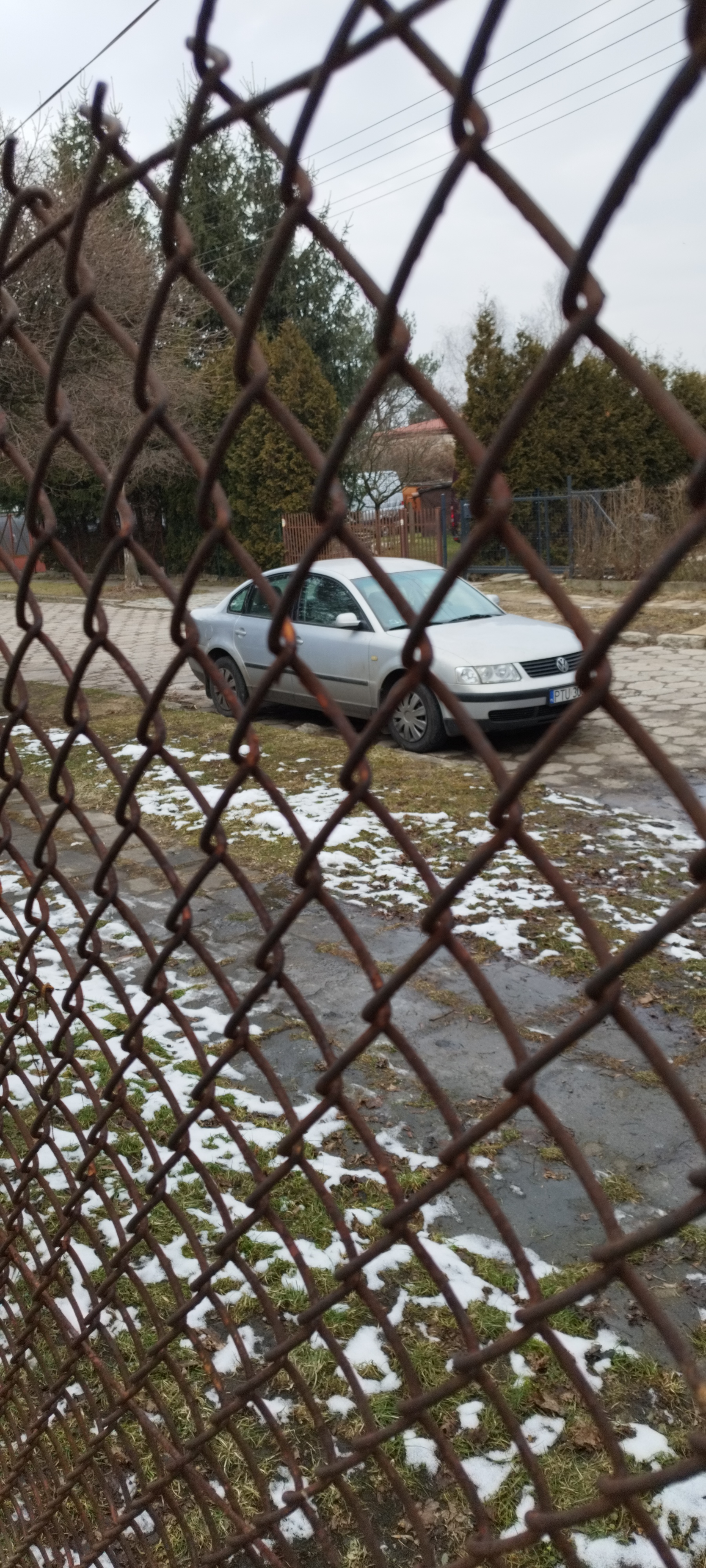 Mistrz parkowania w pojeździe o numerach PTU3067F