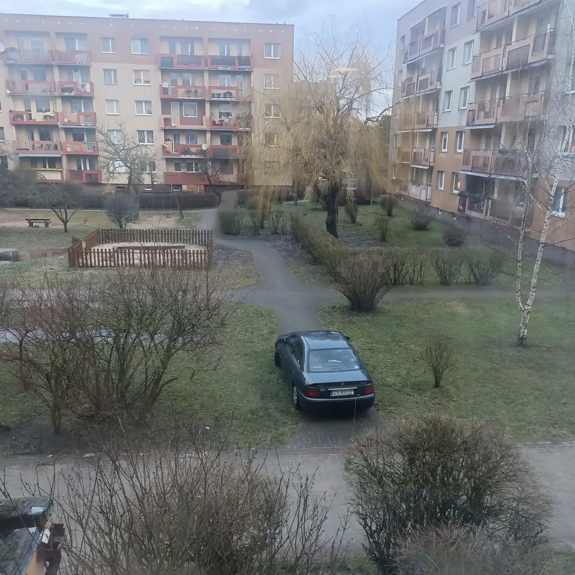 Mistrz parkowania w pojeździe o numerach ZS8905P