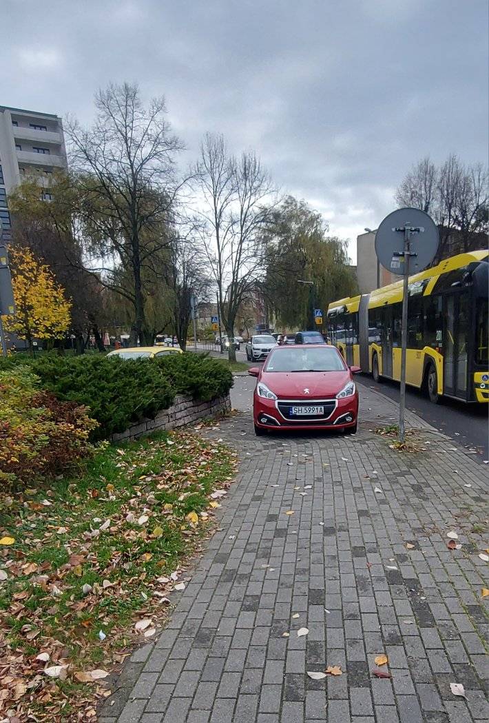 Mistrz parkowania w pojeździe o numerach SH5991A