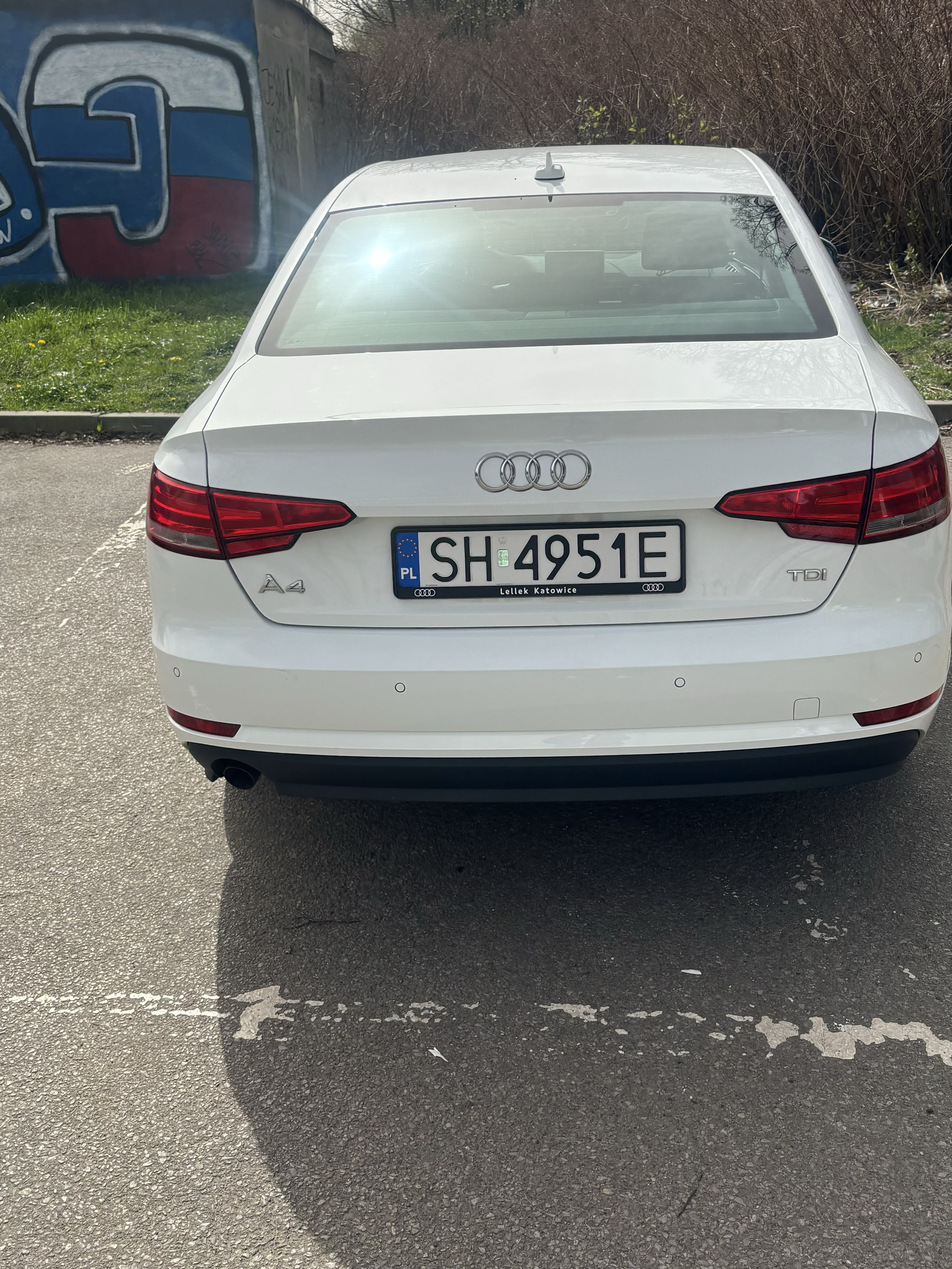 Mistrz parkowania w pojeździe o numerach SH4951E