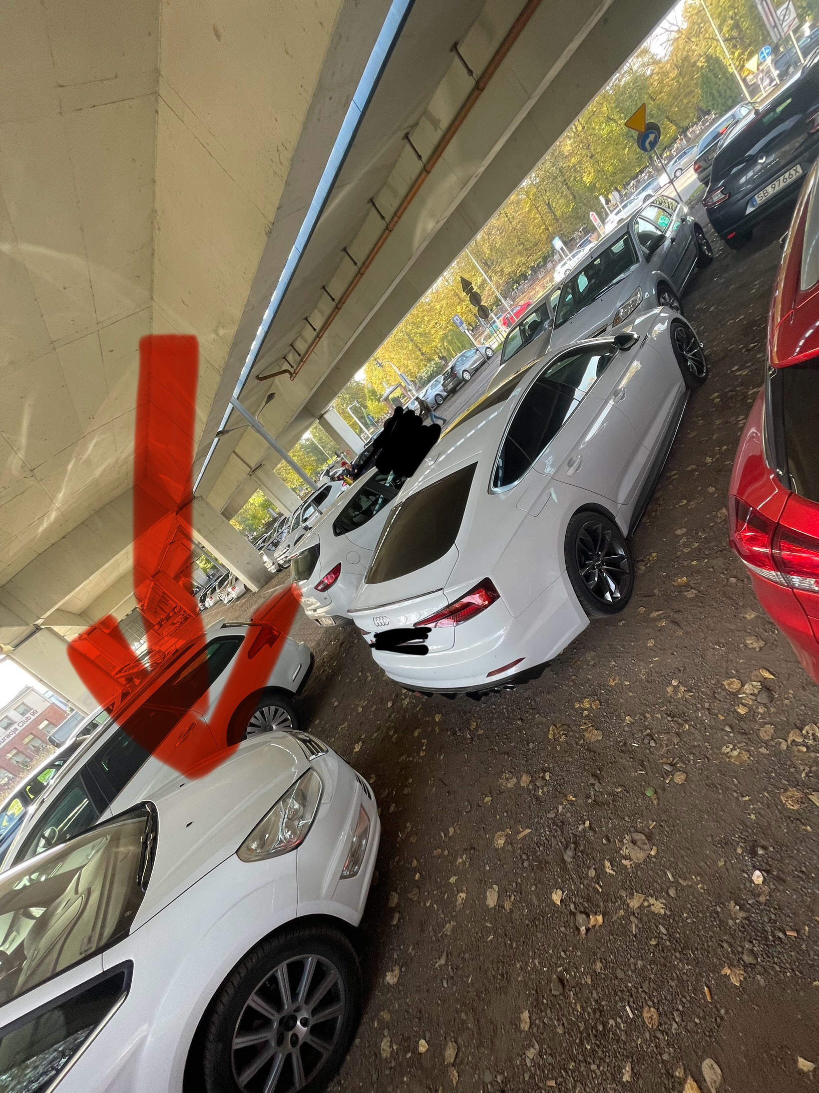 Mistrz parkowania w pojeździe o numerach SH8998A