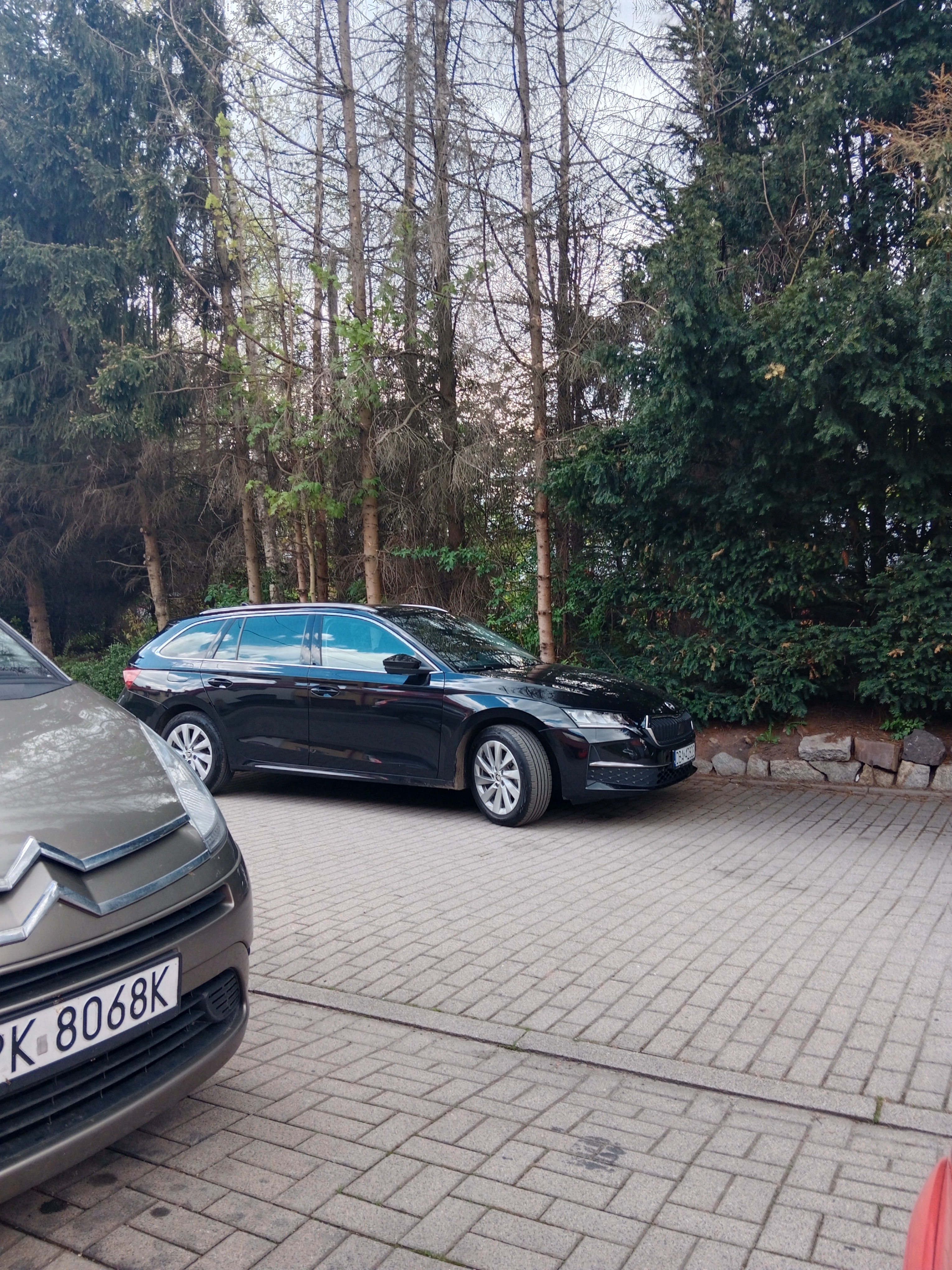 Mistrz parkowania w pojeździe o numerach DBA42823