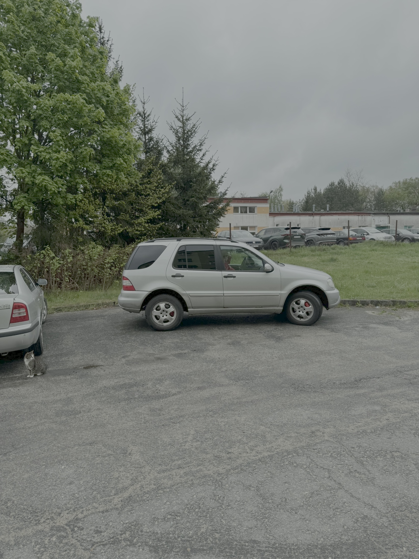 Mistrz parkowania w pojeździe o numerach DWLHU10