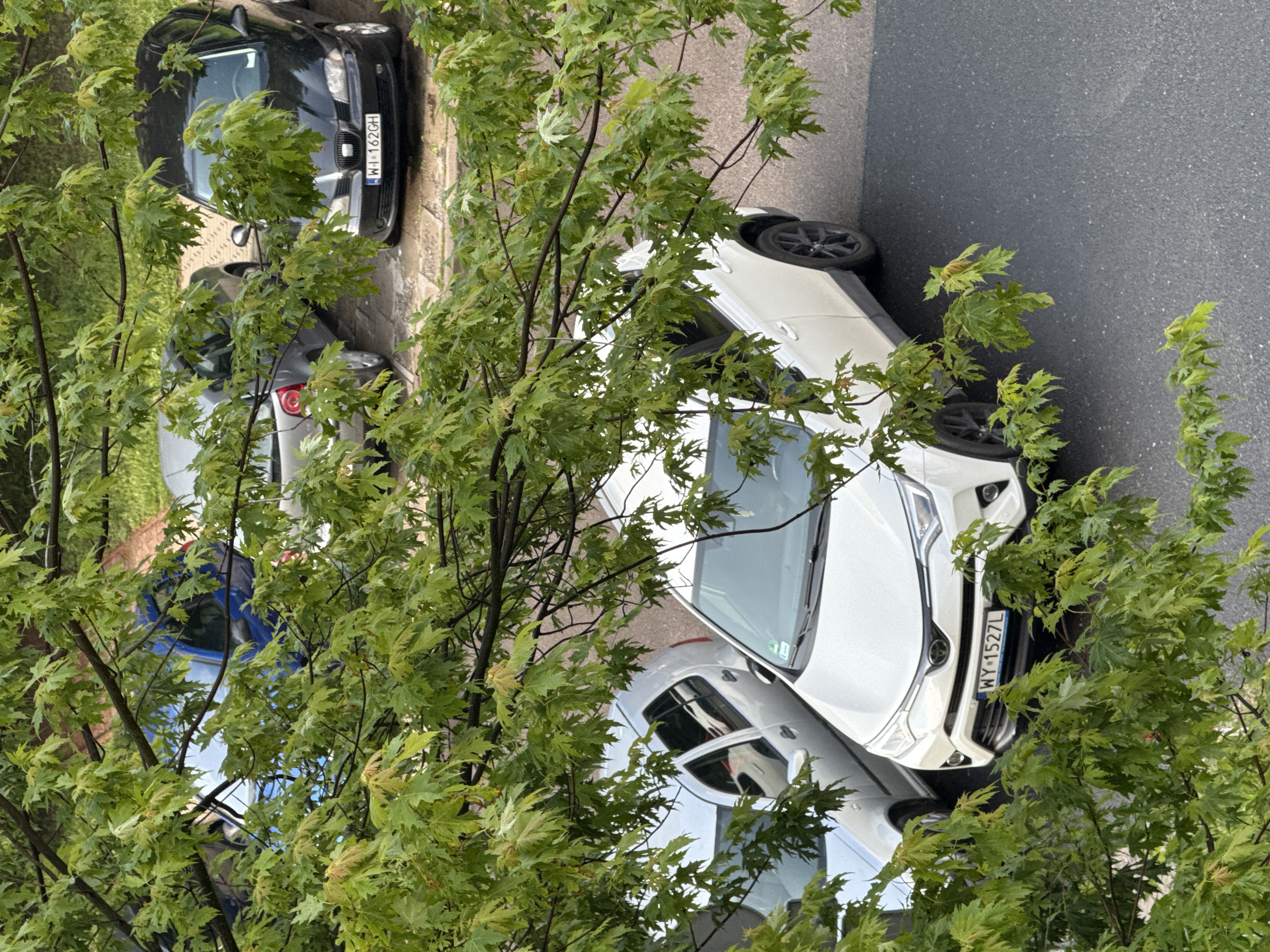 Mistrz parkowania w pojeździe o numerach WY1527L