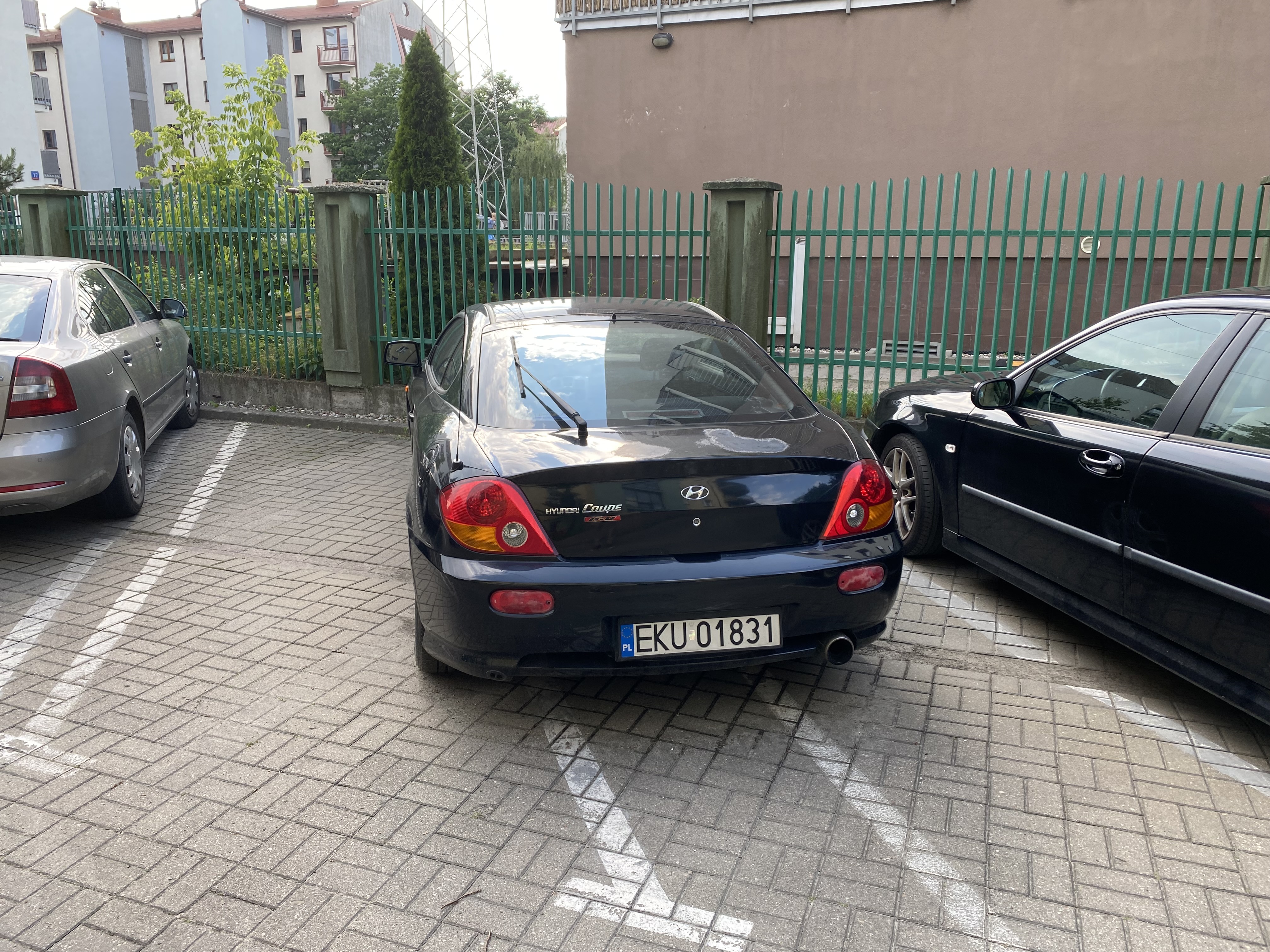 Mistrz parkowania w pojeździe o numerach EKU01831