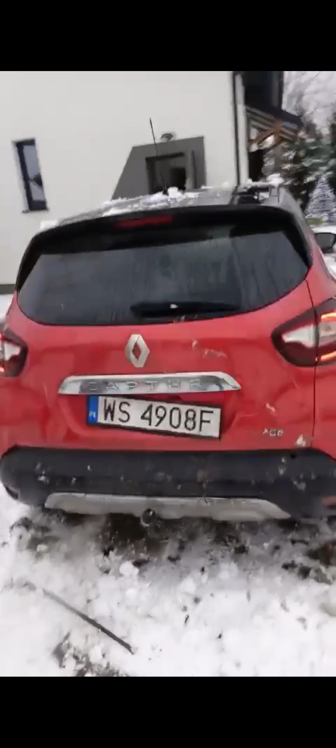 Łoś go nadgryzł...