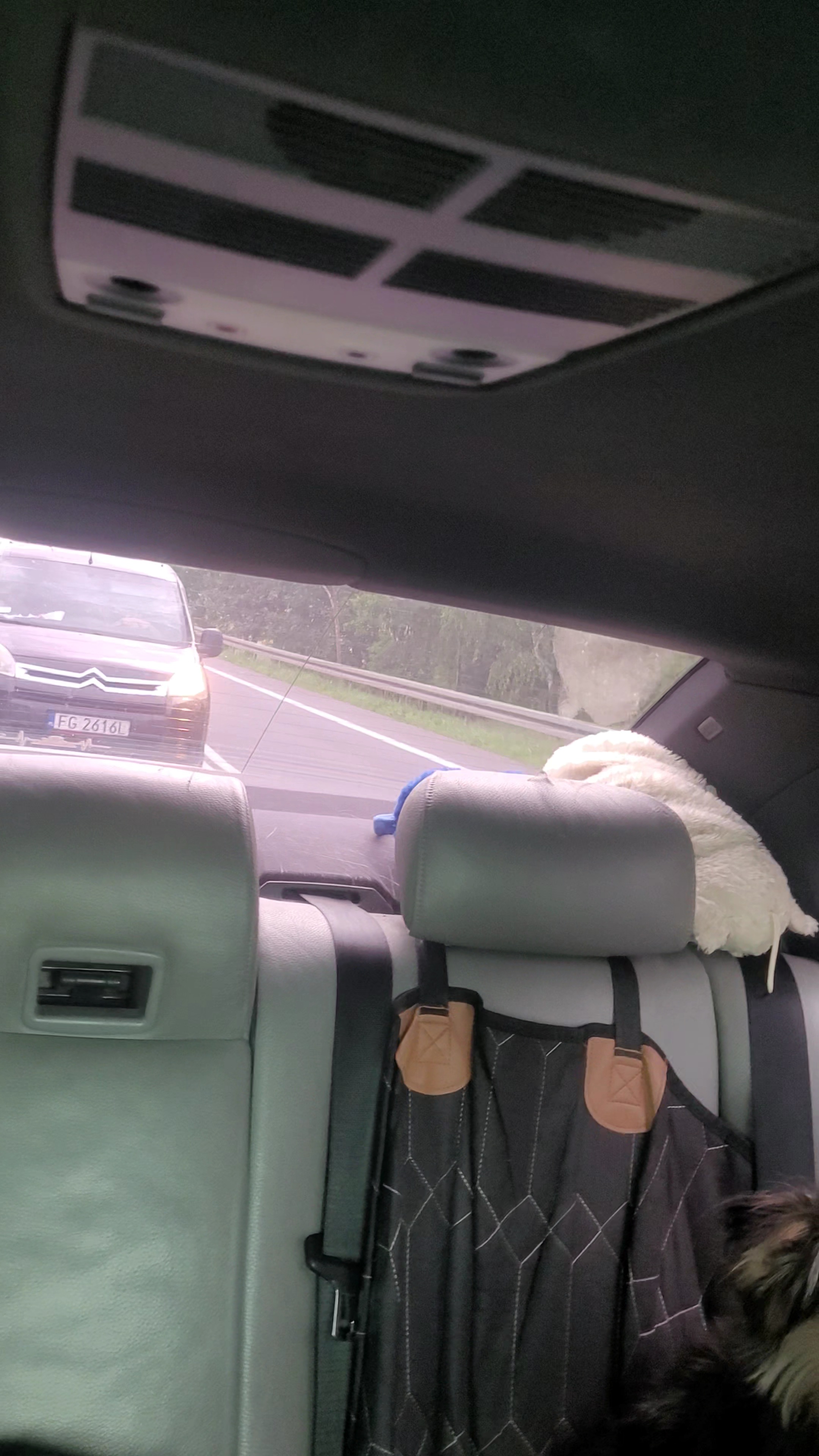 Pirat drogowy w pojeździe o numerach rejestracyjnych FG2616L