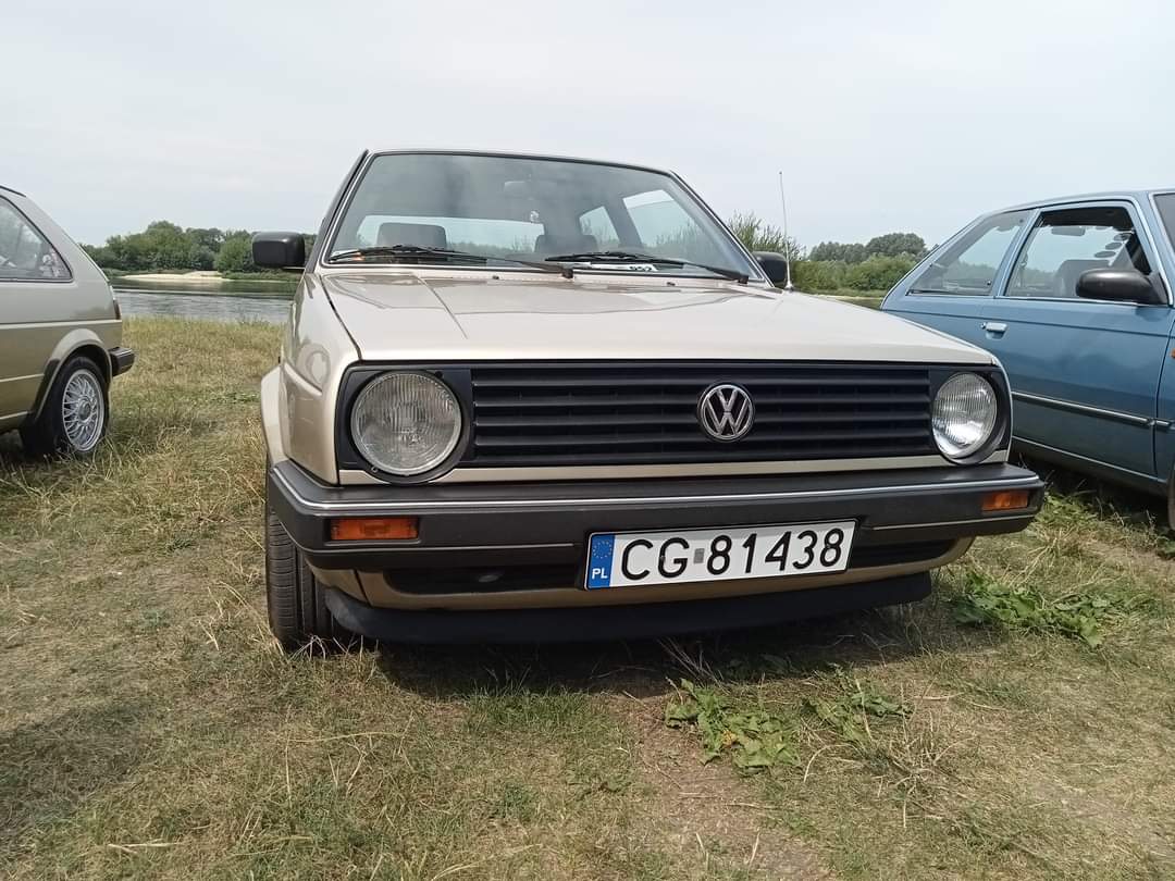 Śliczny,oryginalny egzemplarz