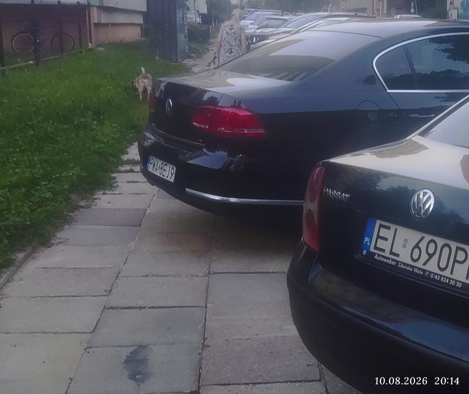 Mistrz parkowania w pojeździe o numerach PWA8EJ9