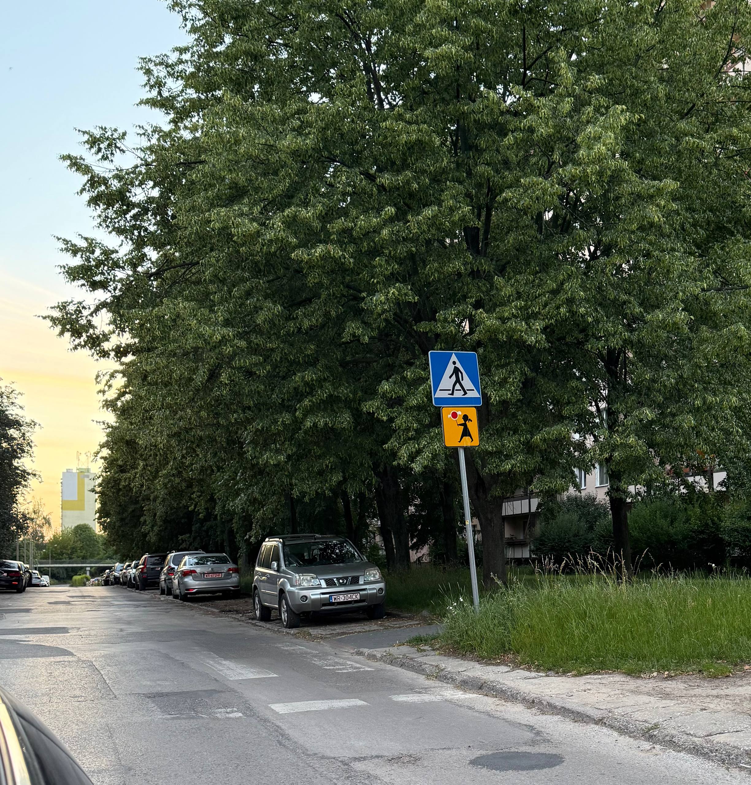 Mistrz parkowania w pojeździe o numerach WR304CK