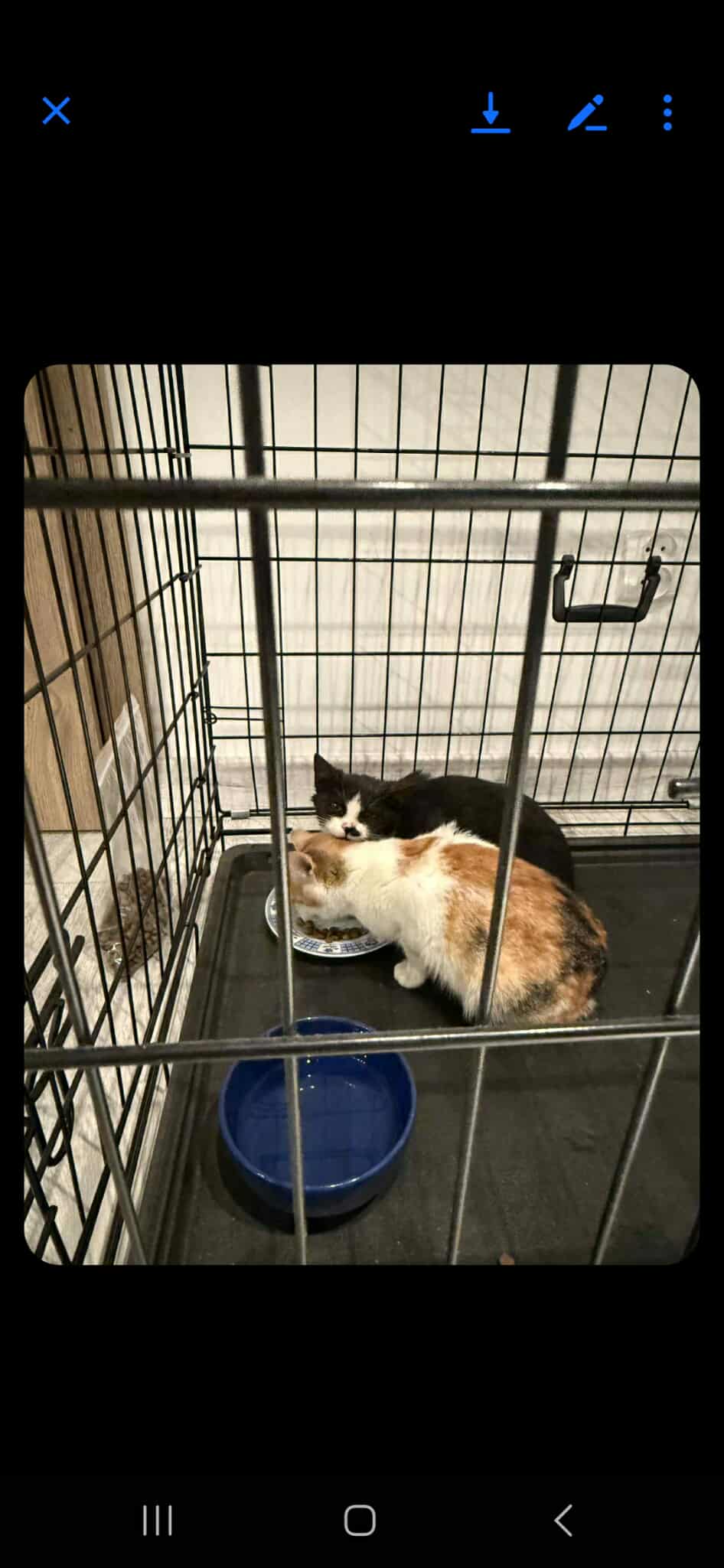 Pirat drogowy w pojeździe o numerach rejestracyjnych FZI75334