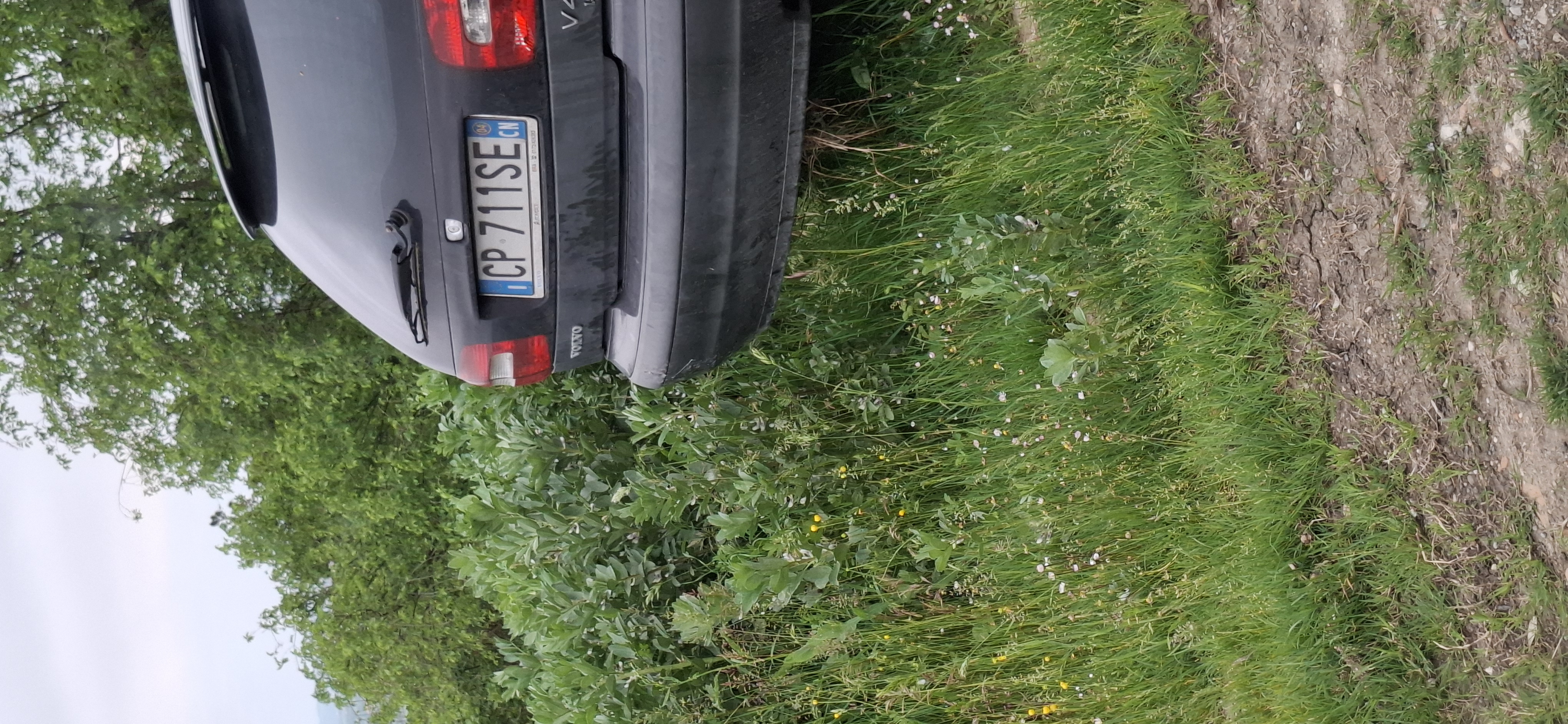 Mistrz parkowania w pojeździe o numerach CP711SE