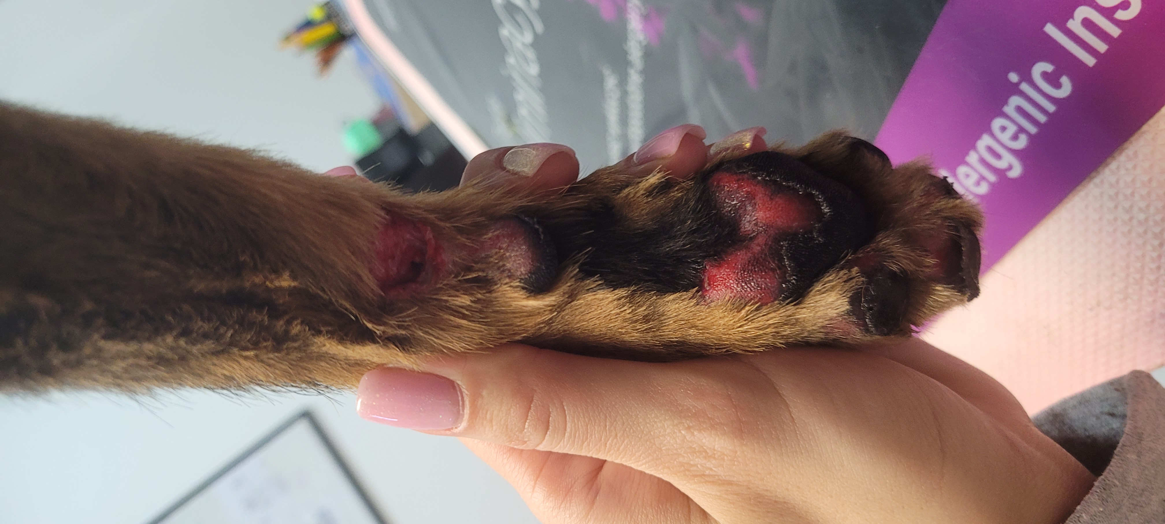 Pojazd o numerach CTR90W6 uczestniczył w wypadku