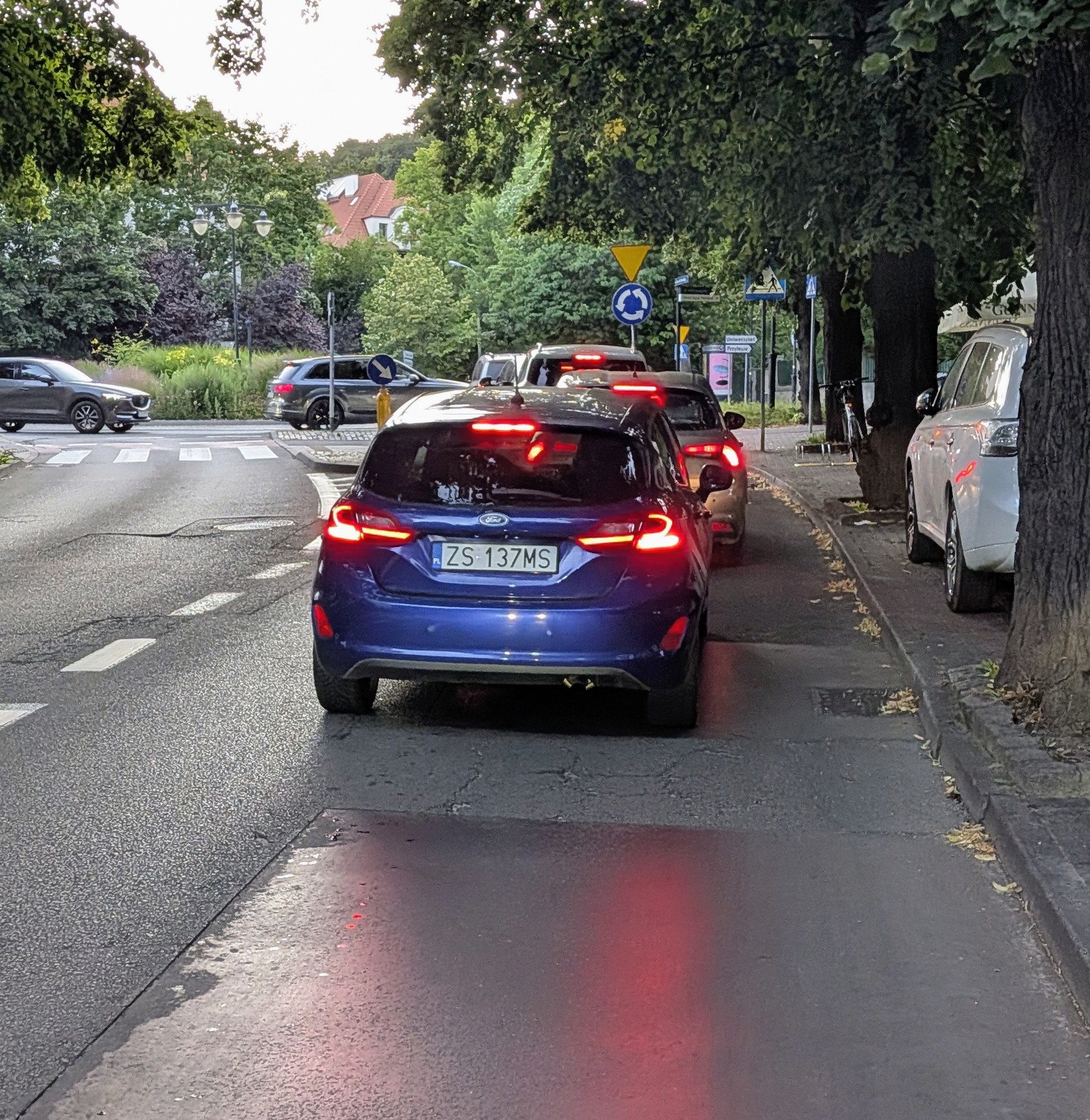 Chłop jadąc w korku tak się spieszył do Opery Leśnej, że przejechał mi tuż przed nogami jak wchodziłem ...